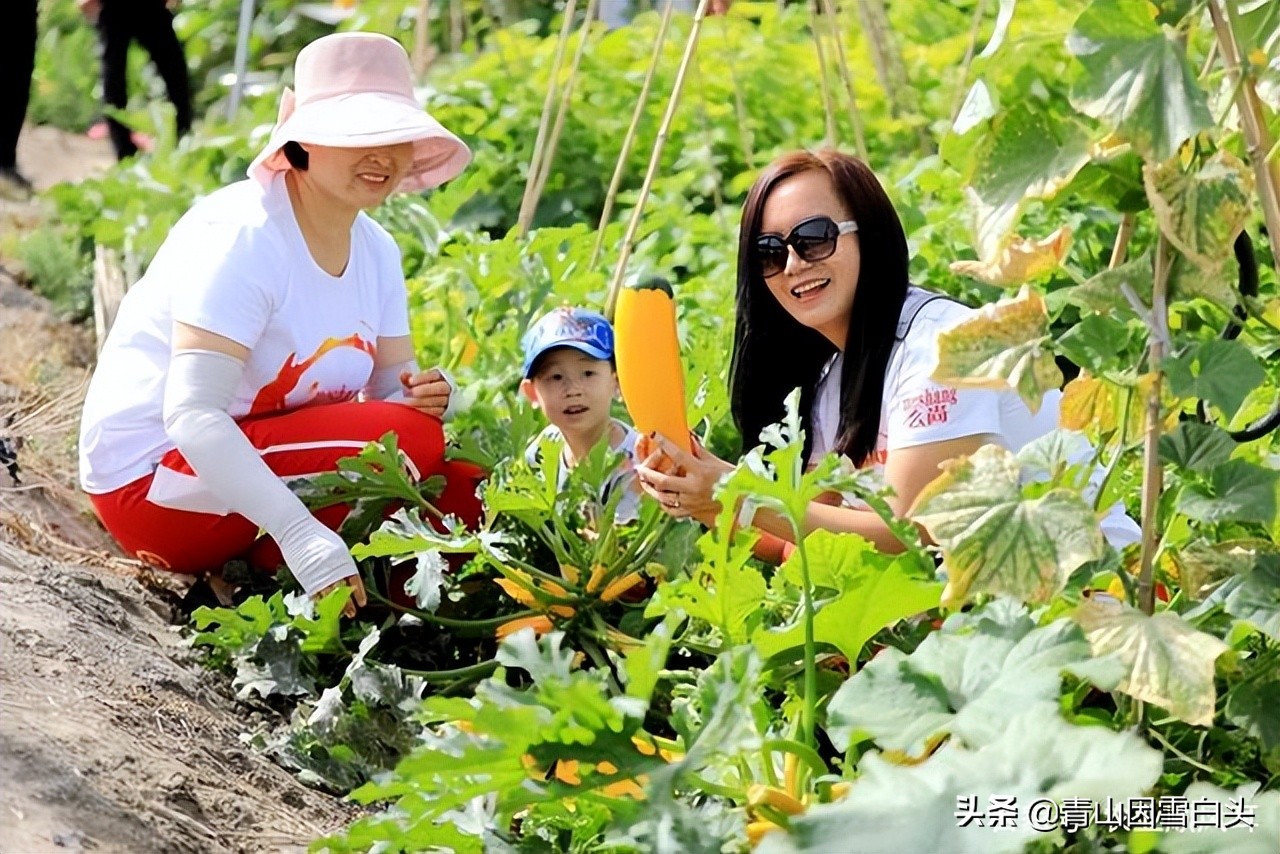 前景好的4个农村创业项目,十大适合目前农村创业的项目