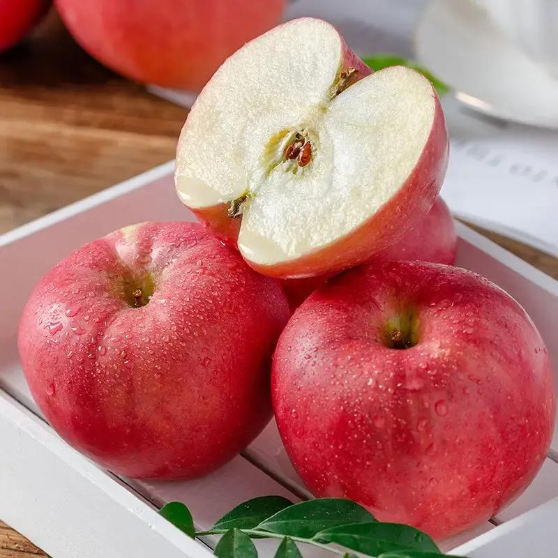 范冰冰做烤瓷牙前后照,范冰冰做的牙贴片还是烤瓷牙