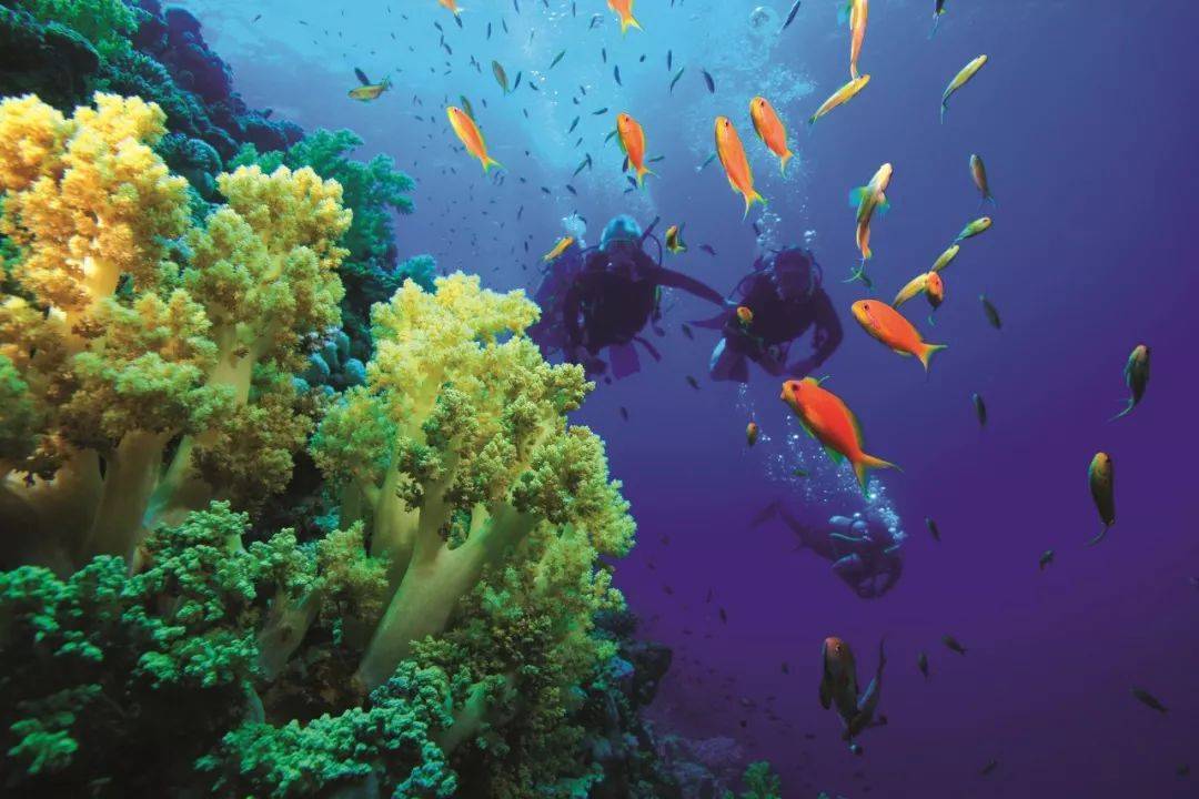 沙迦一日游攻略,沙迦攻略