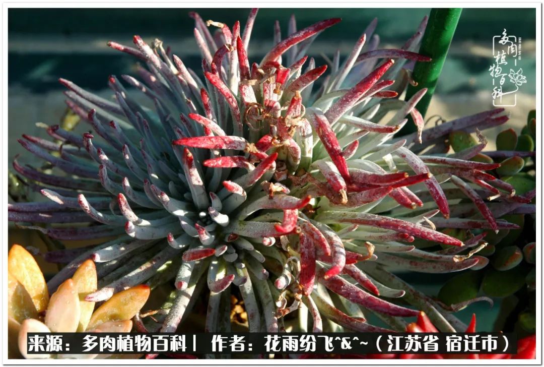 快乐的童年时光视频,回味快乐的童年美好的时光