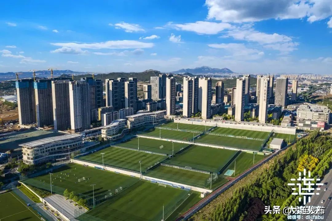 校园民生实事推进情况报告,关于推进城市口袋公园维护的提案