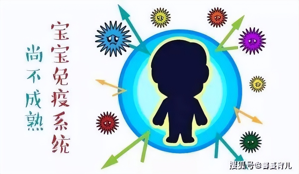 豫健科普,豫健科普关注老年人膳食营养