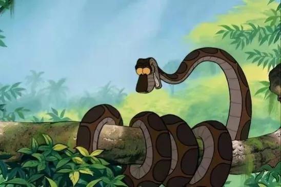 家里有蛇怎么办蛇怕什么,驱蛇防蛇用什么最好