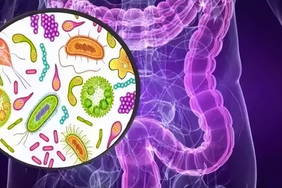 免疫细胞治疗胰腺癌,胰腺癌免疫治疗的研究进展