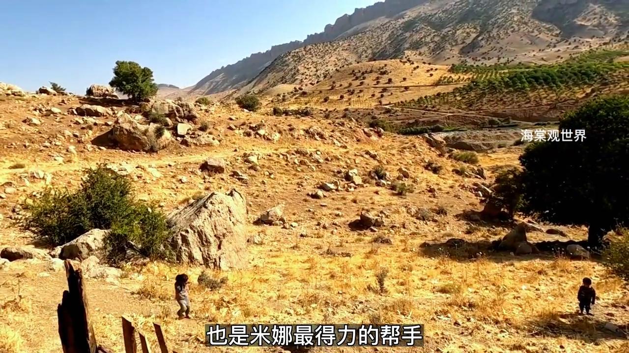 米娜婆婆找到米娜和三个孩子了吗,米娜和三个孩子大结局