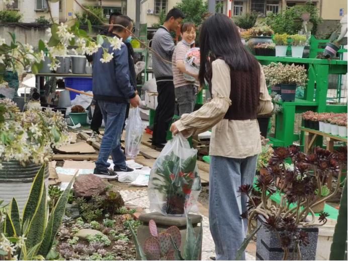 成都最新的花市,成都花市人气旺