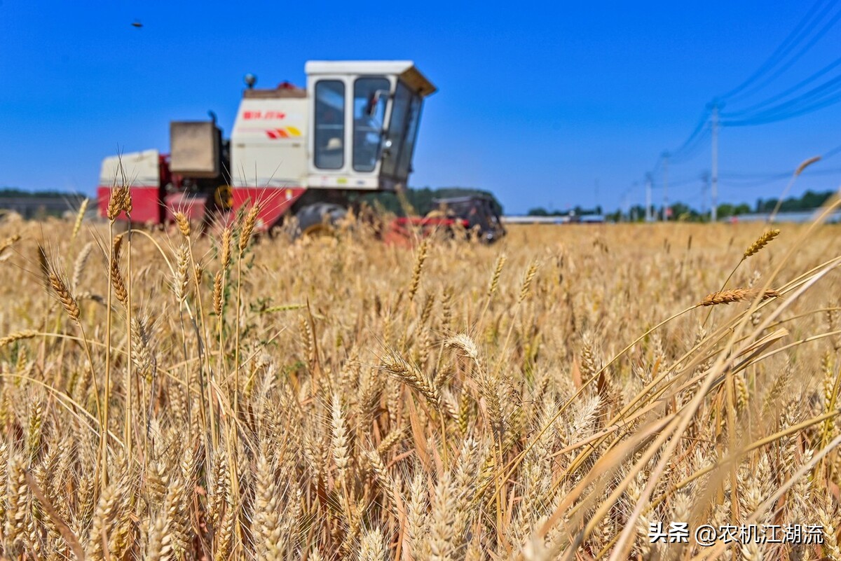 雷沃谷神和中联谷王,雷沃谷神小麦收割机最新款