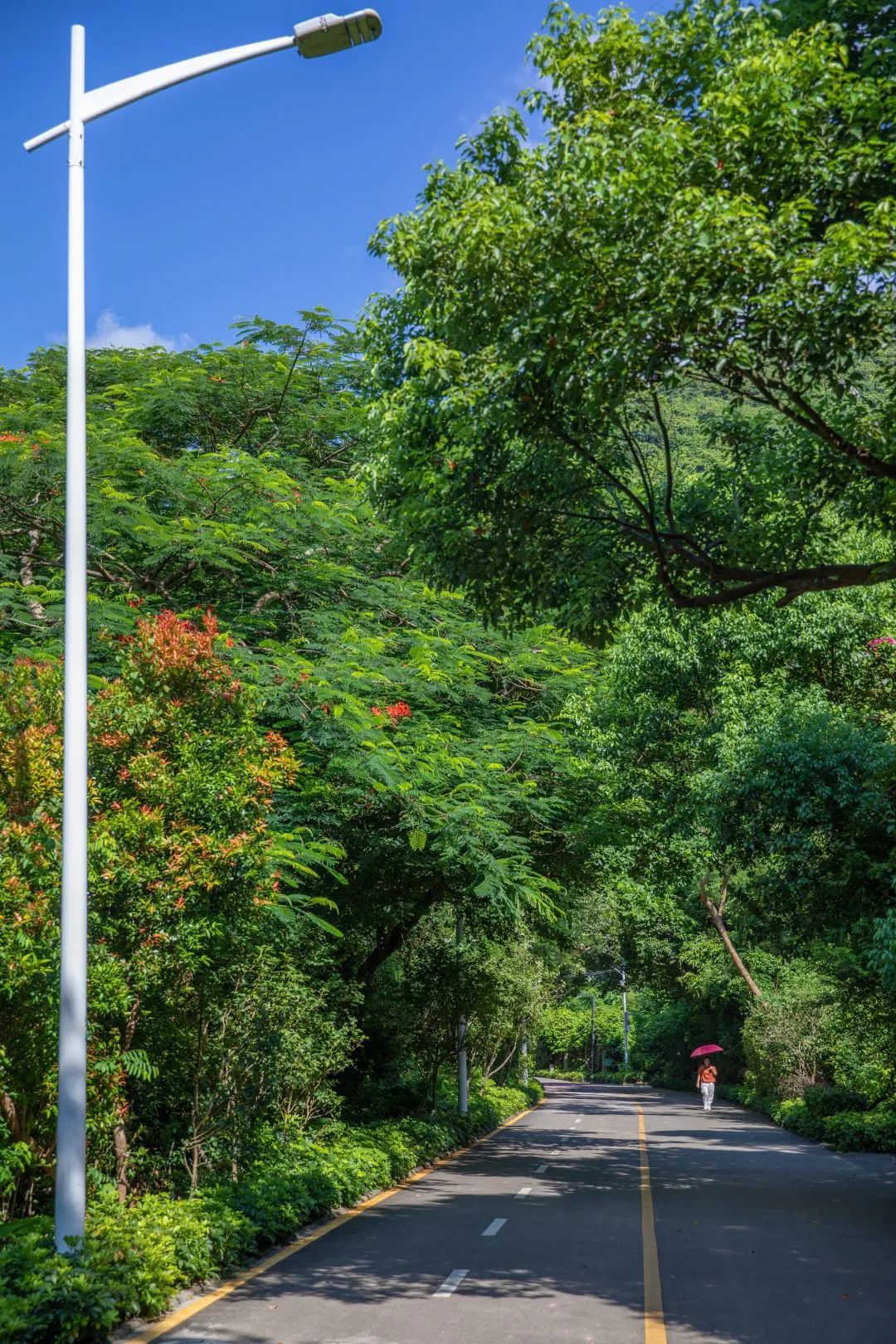 深圳梅林水库绿道线路图,深圳首条手作步道