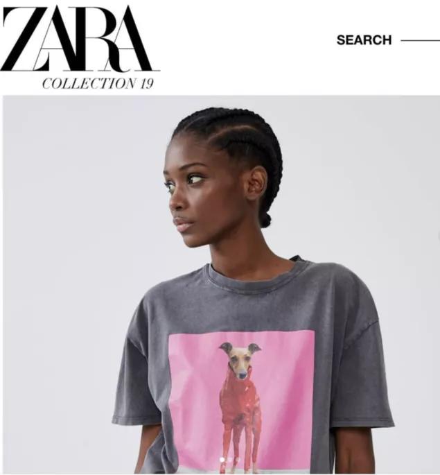 一只流浪狗被收留后成功的逆袭了,一只被遗弃狗狗的逆袭之路