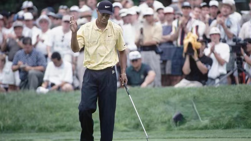 性成瘾症病因与治疗,性成瘾症表现和治疗