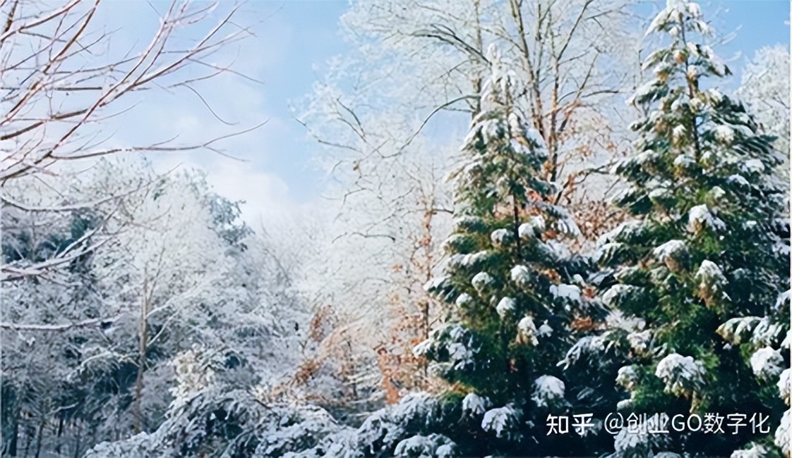 老板看不懂财务报表该怎么办,老板看不懂财务报表怎么做