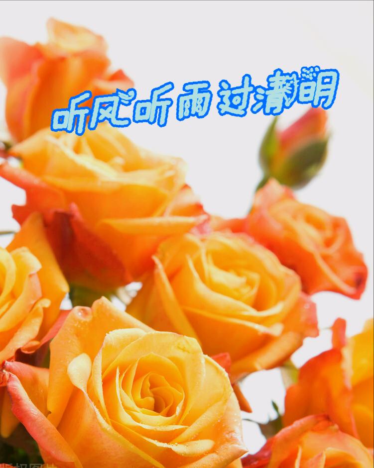 清明节雨纷纷举国上下寄哀思,清明节伤感词思念天堂的父母