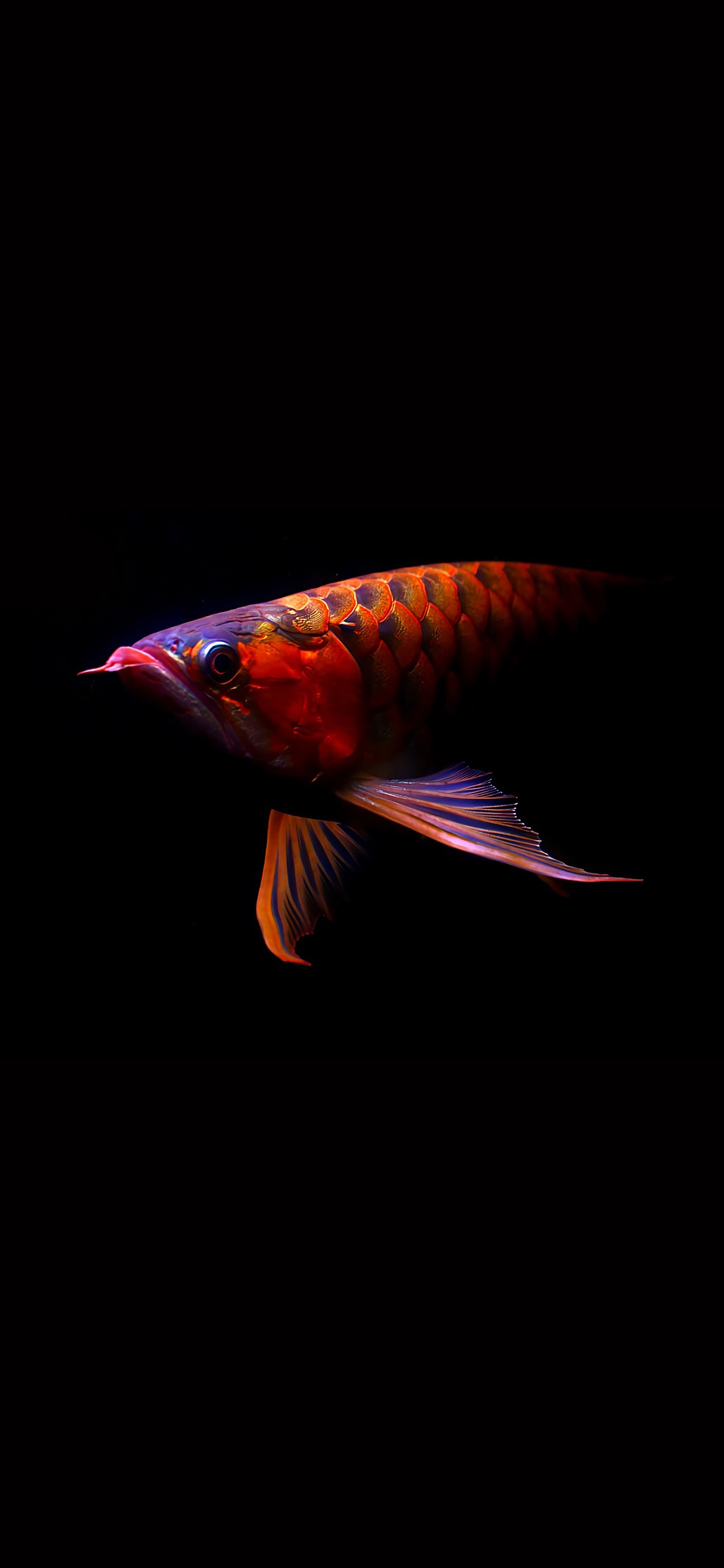 iphone14promax黑色系手机壁纸,壁纸iphone14promax炫酷壁纸