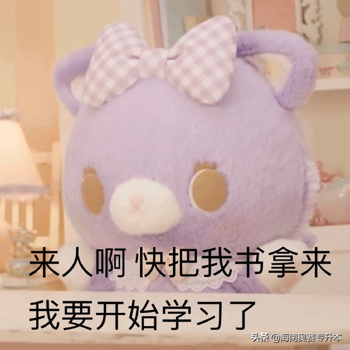 海南专升本财务会计资料推荐,海南专升本财务会计