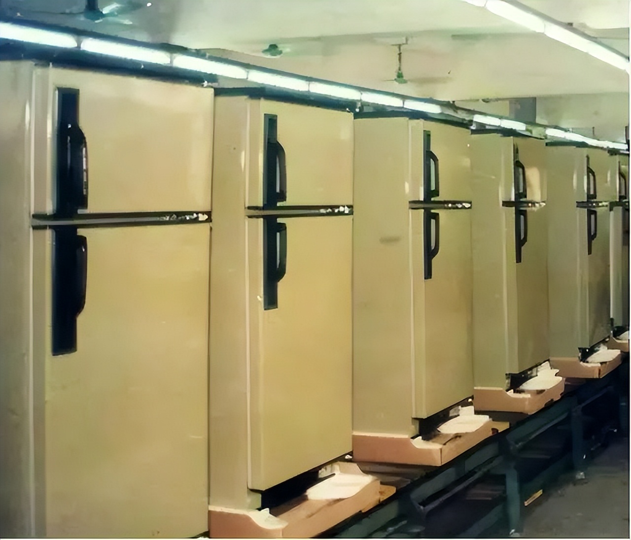 山东女首富赵燕公司,山东女首富赵燕面相分析