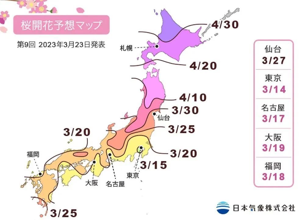 今年日本樱花还能看吗,日本4月底还有樱花看吗