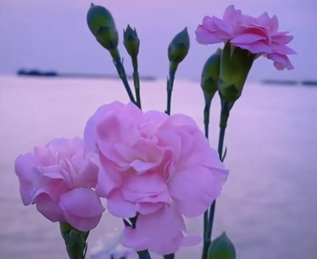 故事不长不难讲脸红相遇眼红收场,脸红相遇眼红散场故事不长也不难