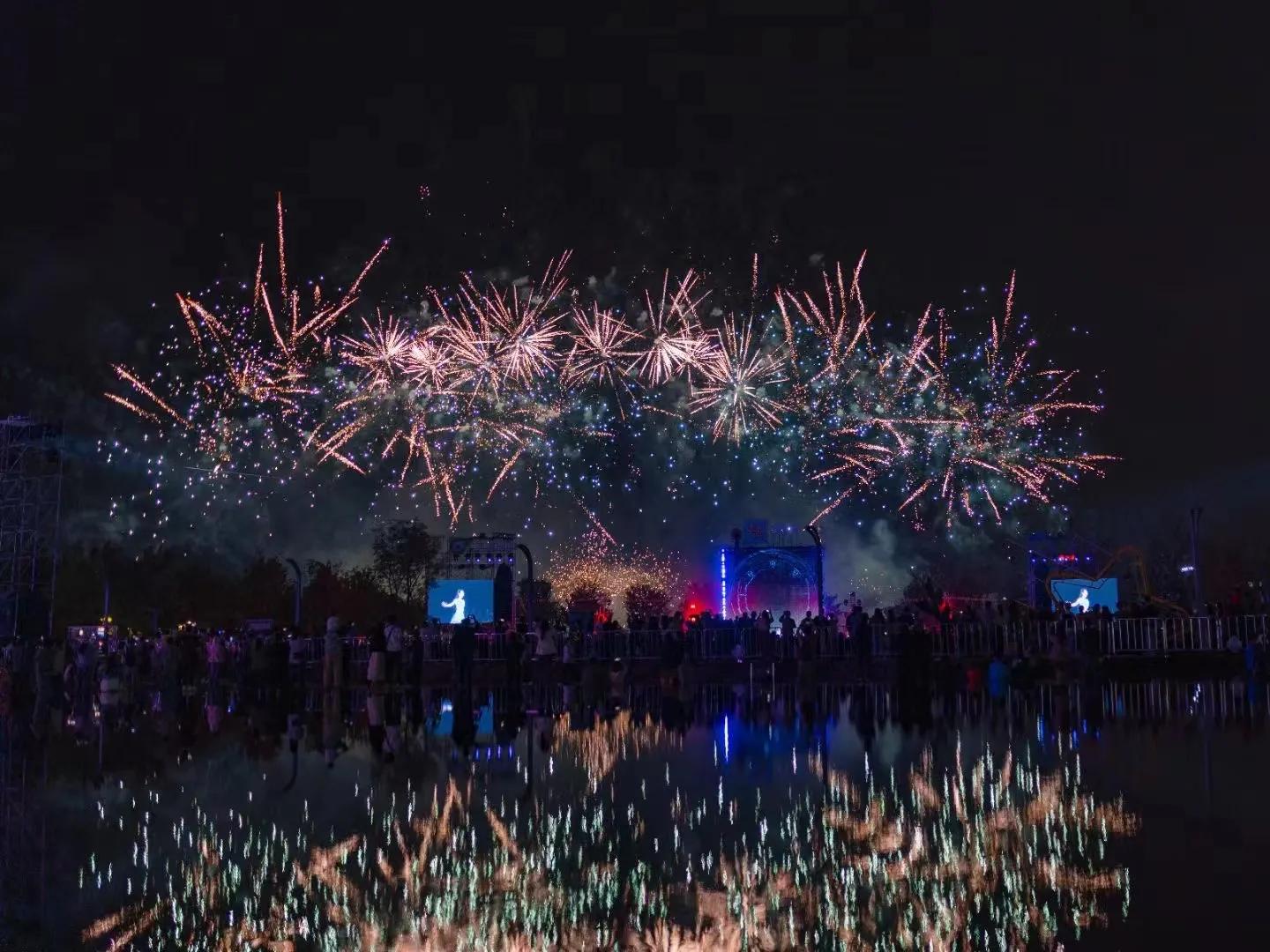 京城黑社会电影,京城黑社会电视剧