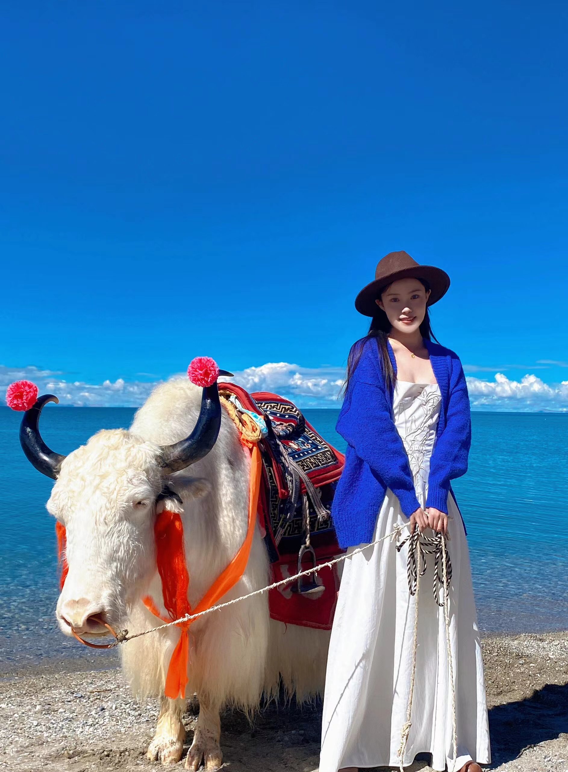 拉萨最优秀的旅行社,藏客行旅行社