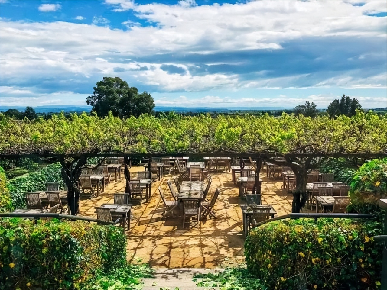 周游记2新西兰之旅,新西兰之旅15集