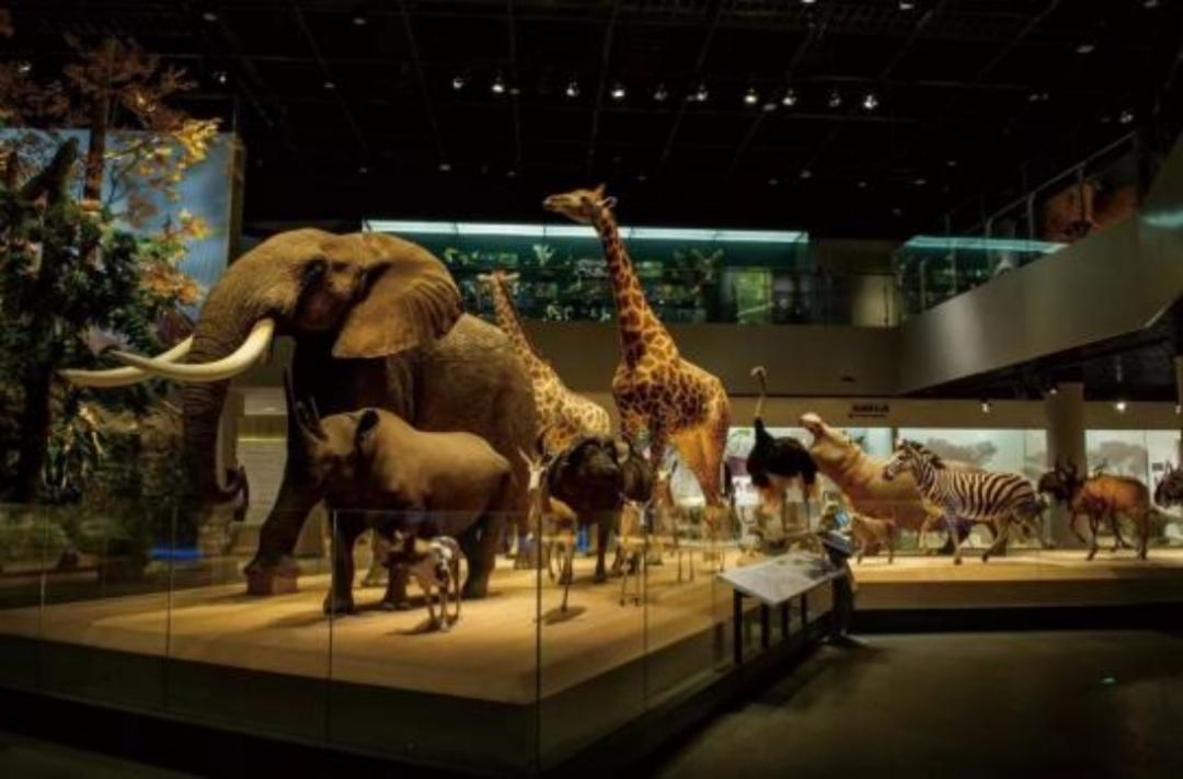 安吉旅游度假,安吉好玩还是千岛湖好玩