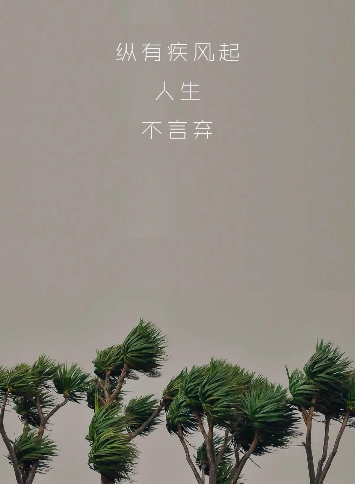 孕妇阳了胎儿胎动频繁,孕妇阳了胎儿胎动少