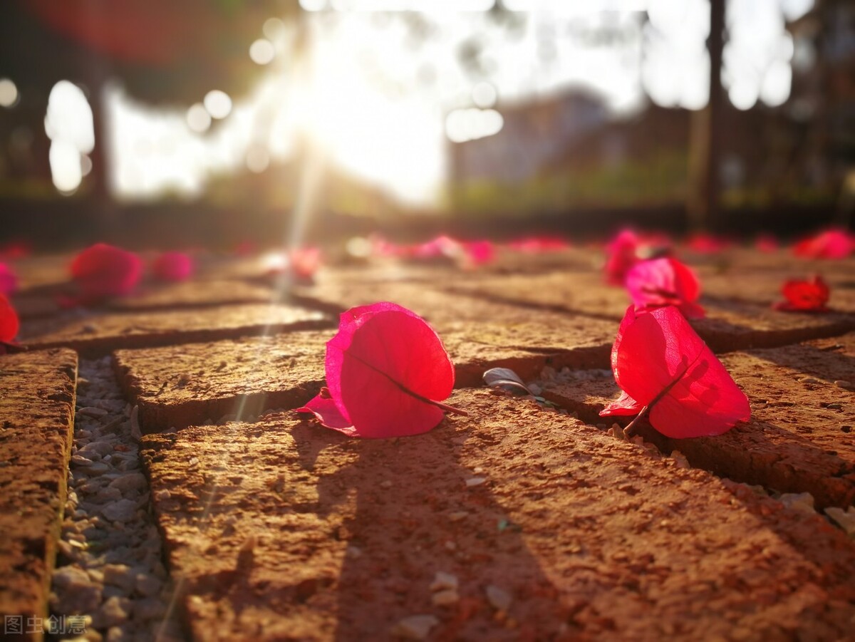 遭遇三观不合，女人该退让还是坚持？