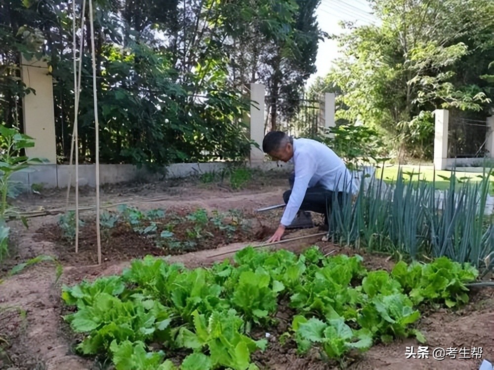 陕西考生网赞扬-西安博雅艺术职业中学优秀教师-薛凡