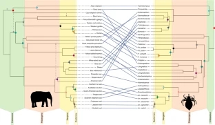 比人古老的生物,30年前虱子为什么频繁出现
