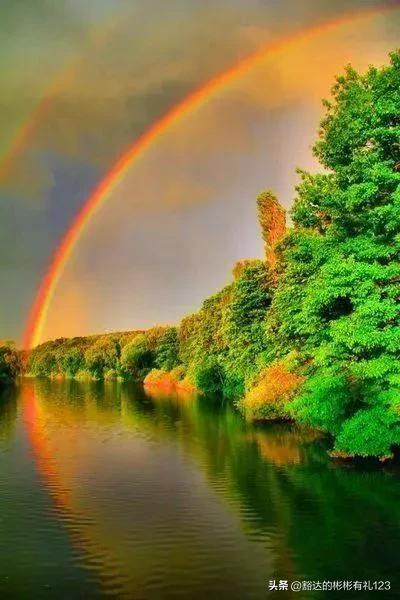 难得一见绝美一清二楚郁金香壁纸,难得一见雪景壁纸