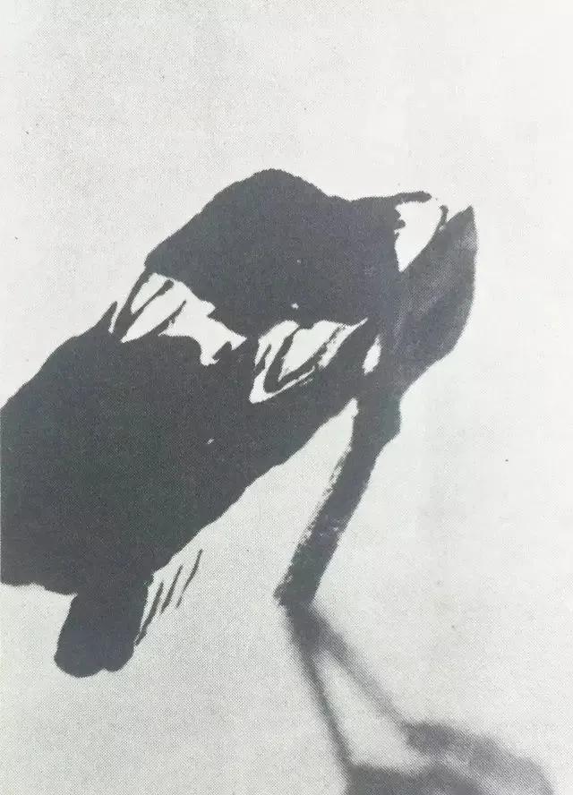 国画大师李苦禅一步一步教你画“四绝神鹰”，经典好学