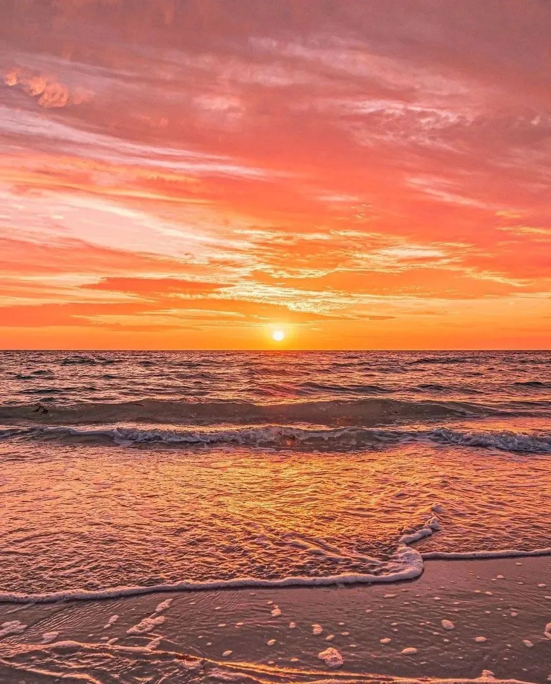 地球简史书籍完整版,地球简史46亿年的奇迹