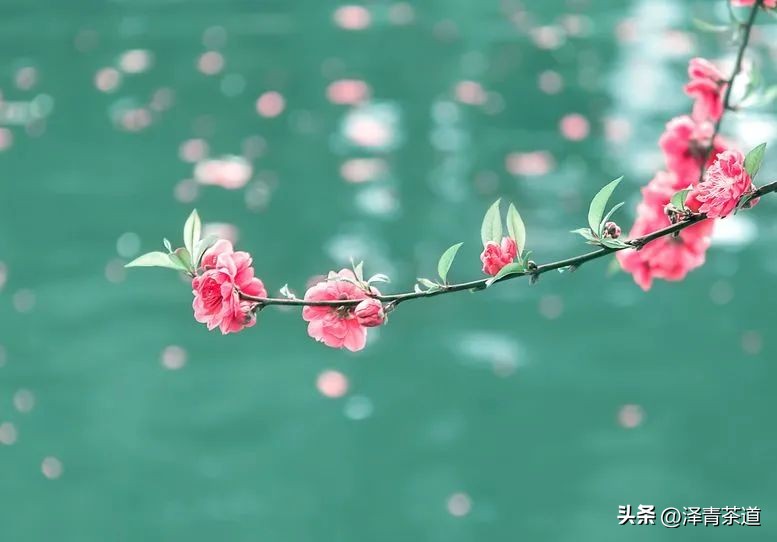 写春天的著名唐诗宋词加赏析,100首关于春天的唐诗宋词