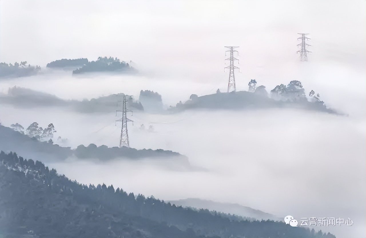 云霄教育局局长林榕庆,云霄林榕庆公示