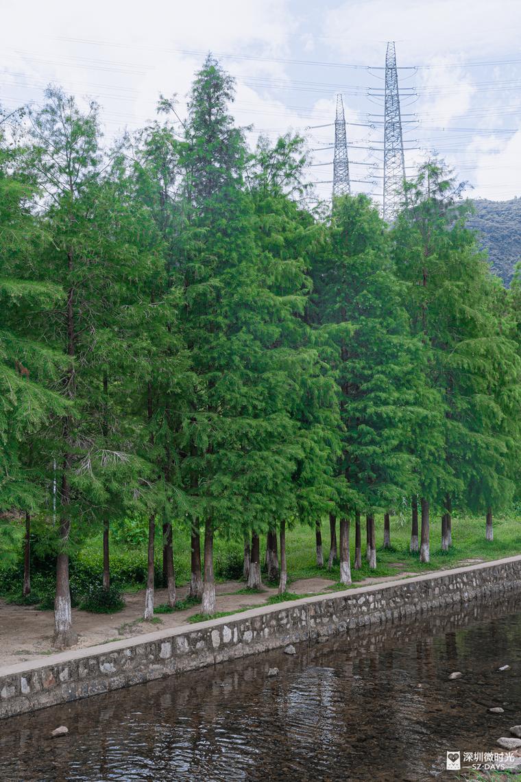 14号地铁有没有到坪山高铁站,坪山14号线转10号地铁图