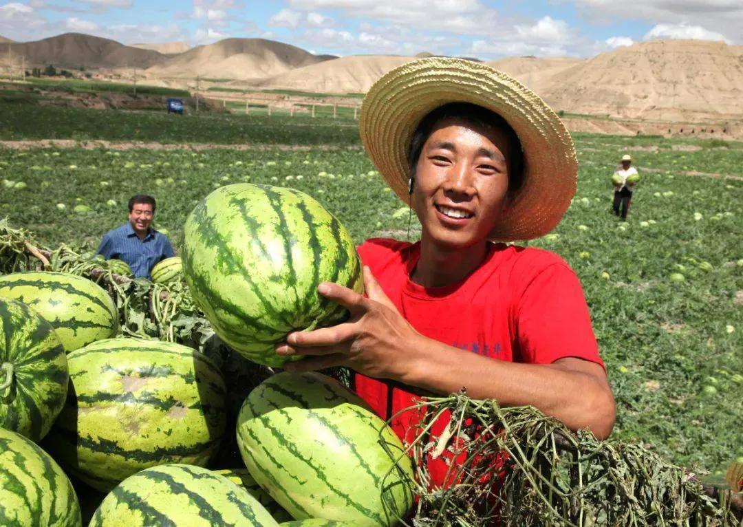 中国八个西瓜之乡,中国十大西瓜之乡名单