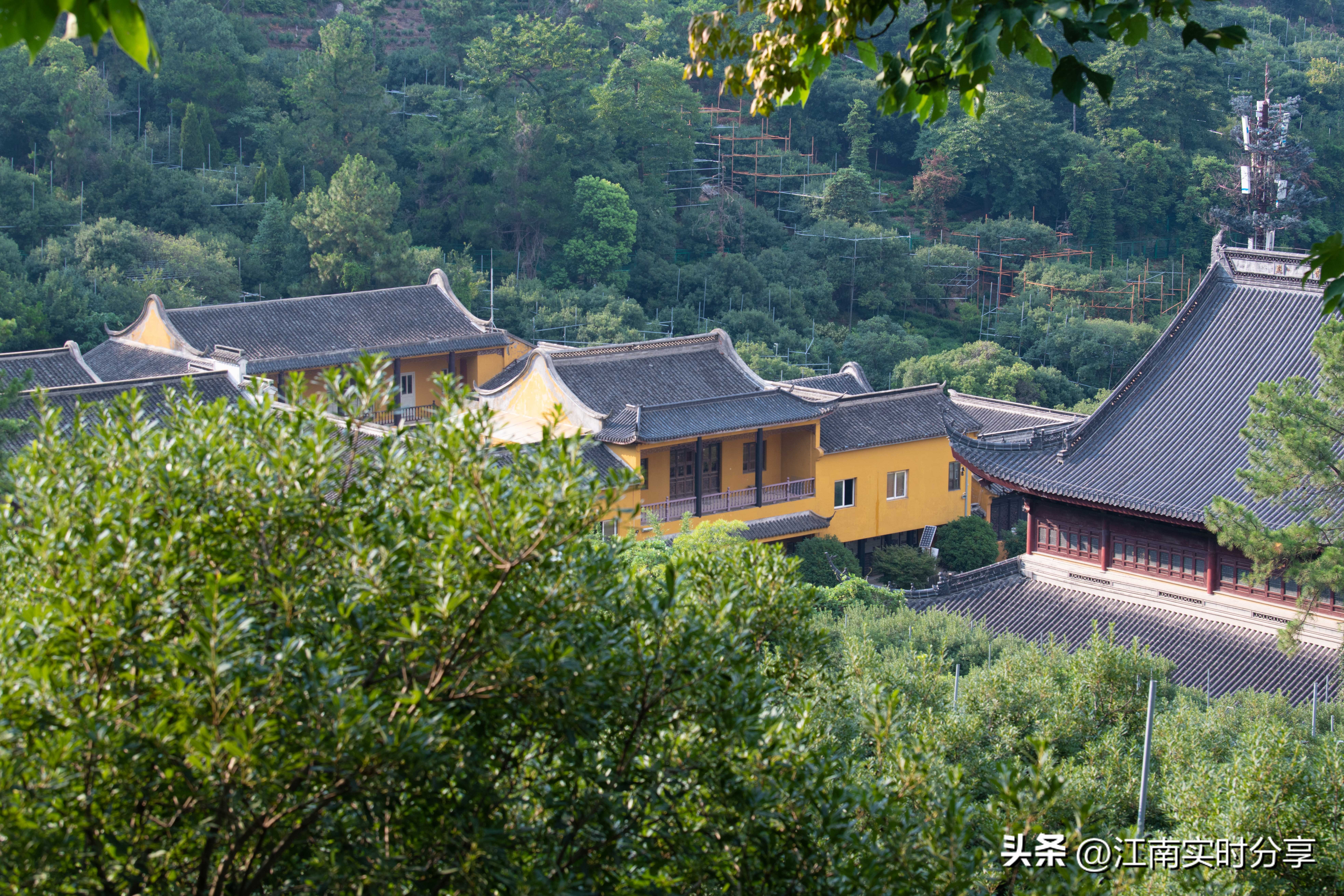 苏州树山花间堂云泉,苏州树山花间堂云泉可以带猫咪吗