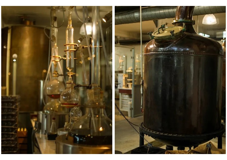 专栏｜地中海峭壁上的千年风华——法国埃兹小镇