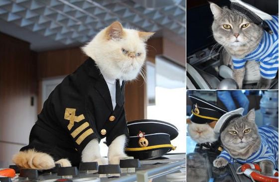 英阿马岛主权之争中方立场：英方有什么好大惊小怪的？