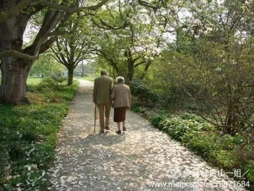 婚姻是个什么东西图,婚姻是一个选项