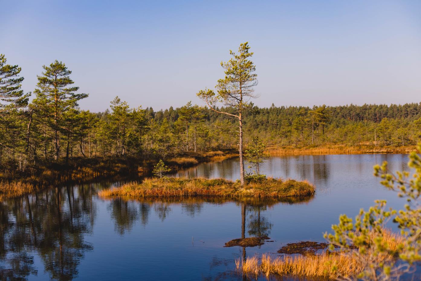 对待亲人的态度是你最真实的情商,亲人之间如何相处才能做到亲情
