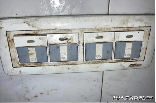 10件提升幸福感的好物厨房必备,如果不差钱尽量多吃这几样食物