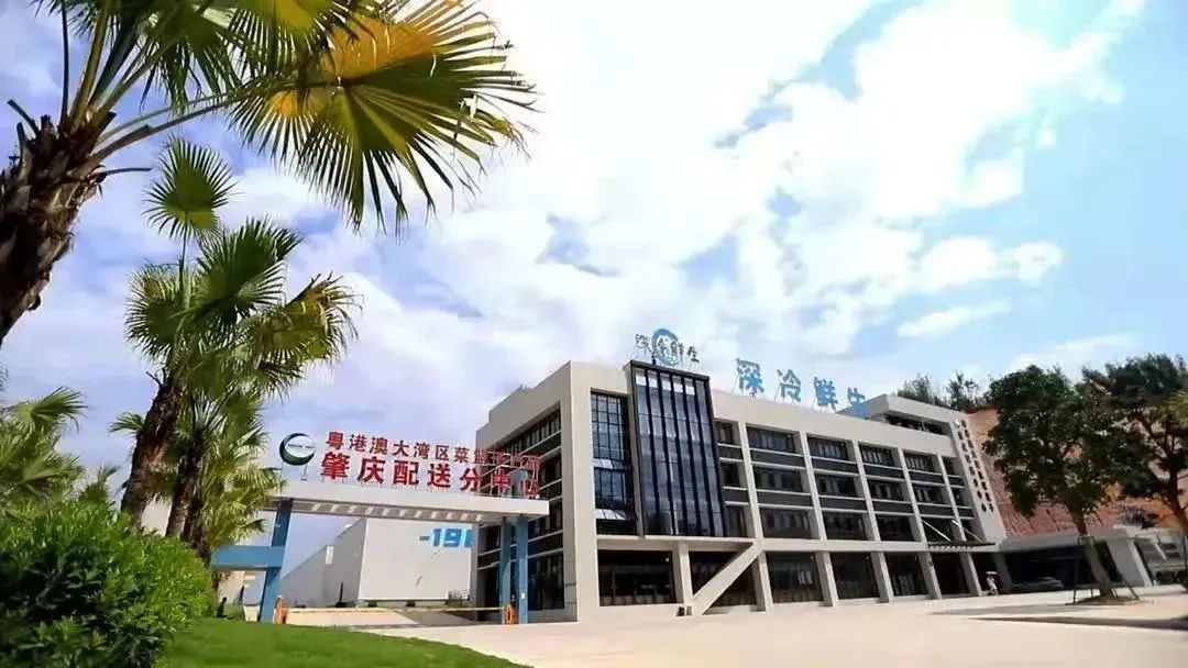 肇庆最美绿道在哪里,肇庆最美公路千里走廊在哪里