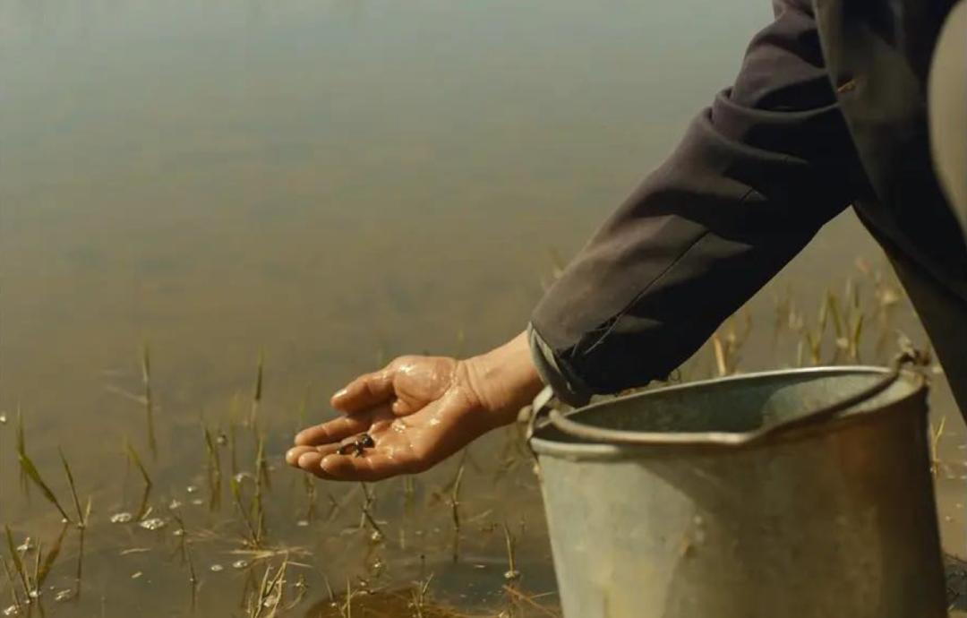 连沈腾都救不了他！冲上热搜惹怒全网，竟还敢说“全场算我的”