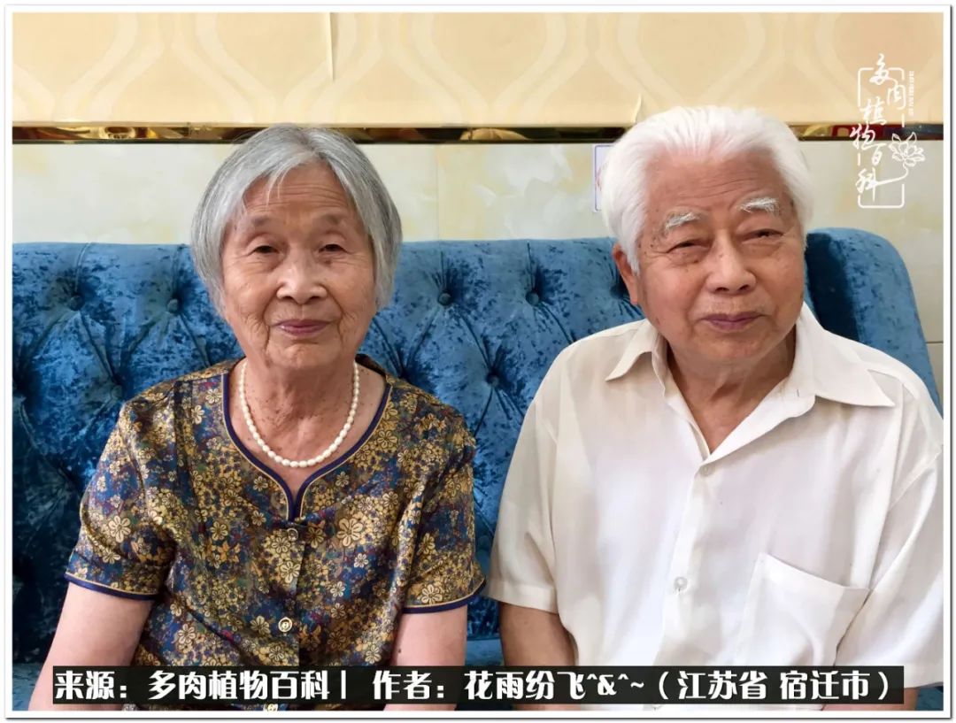 快乐的童年时光视频,回味快乐的童年美好的时光