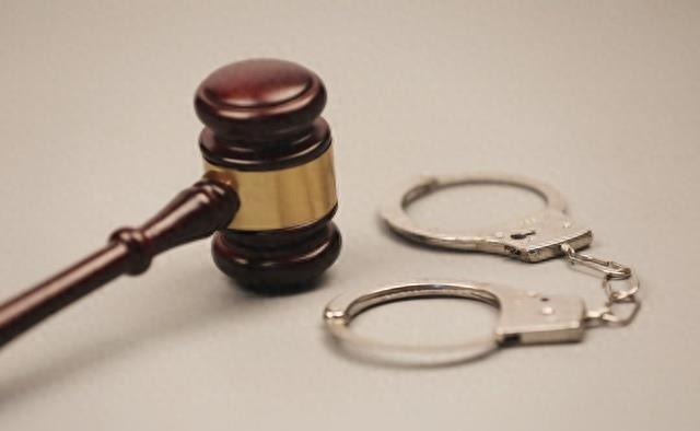 北大学生包丽案件结果,北大包丽虐待案