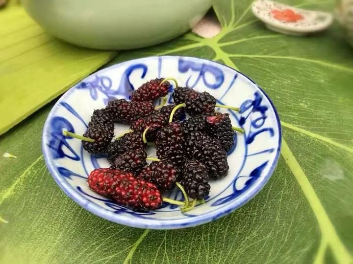 如何花最少的钱改造出租屋,怎样花最少的钱布置出租房