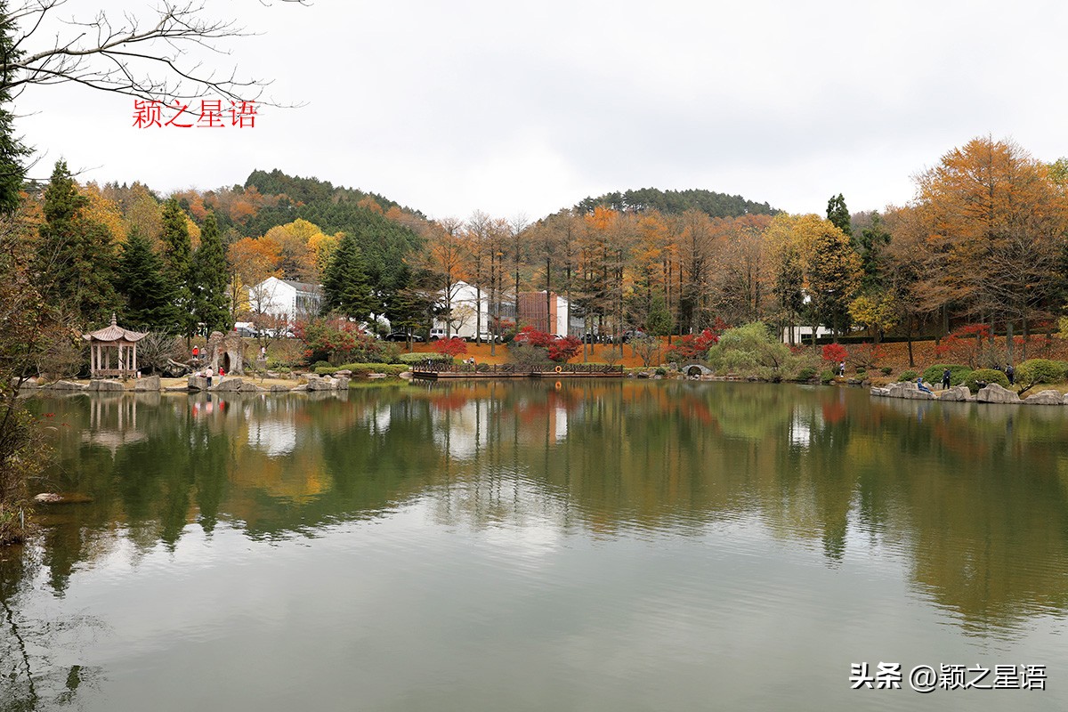 宁波四明山秋色,宁波仰天湖大草原
