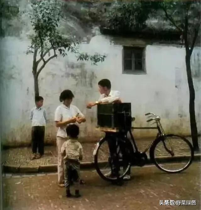 棒冰自制,棒冰冰