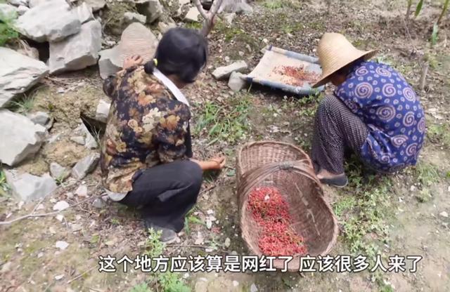 甘肃陇南某个山顶的悬崖村,甘肃陇南礼县悬崖村